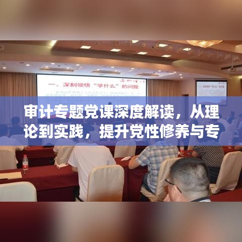 审计专题党课深度解读,从理论到实践,提升党性修养与专业能力