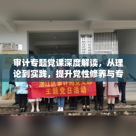 审计专题党课深度解读,从理论到实践,提升党性修养与专业能力