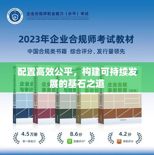 配置高效公平，构建可持续发展的基石之道