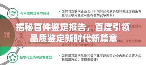 揭秘首件鉴定报告,百度引领品质鉴定新时代新篇章