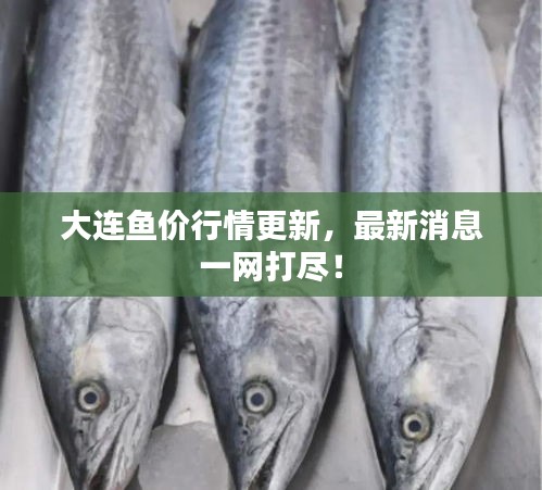大连鱼价行情更新,最新消息一网打尽!