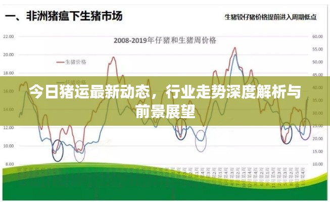 今日猪运最新动态,行业走势深度解析与前景展望