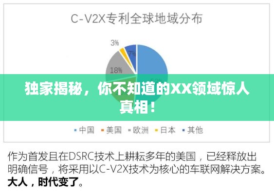 独家揭秘,你不知道的XX领域惊人真相!