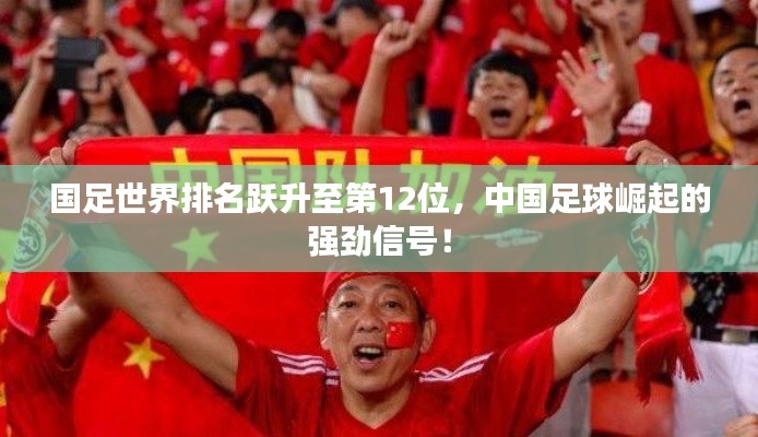 国足世界排名跃升至第12位,中国足球崛起的强劲信号!
