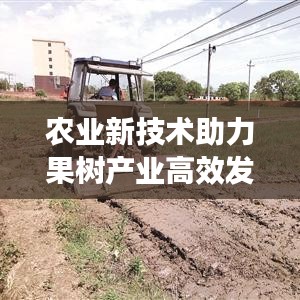 农业新技术助力果树产业高效发展,高效果树促控制助力产业腾飞