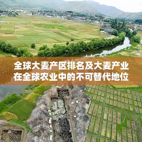 全球大麦产区排名及大麦产业在全球农业中的不可替代地位