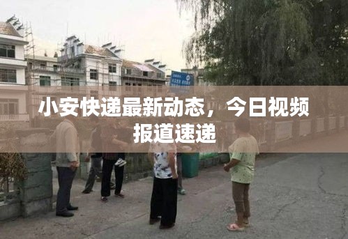 小安快递最新动态,今日视频报道速递