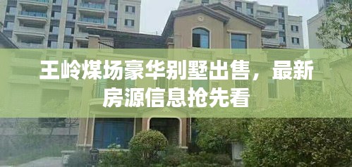 王岭煤场豪华别墅出售,最新房源信息抢先看