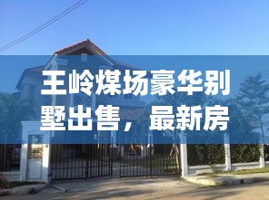 王岭煤场豪华别墅出售,最新房源信息抢先看