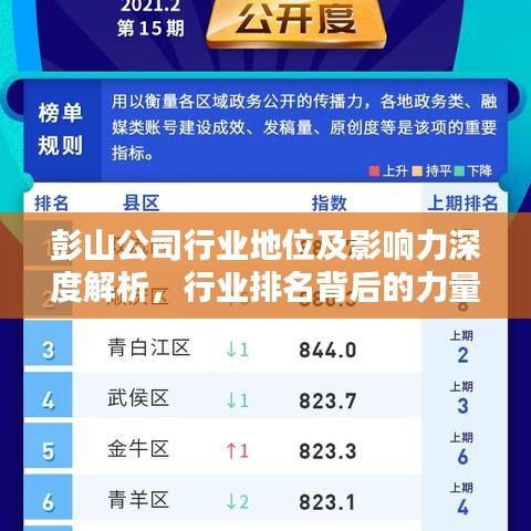 彭山公司行业地位及影响力深度解析,行业排名背后的力量!