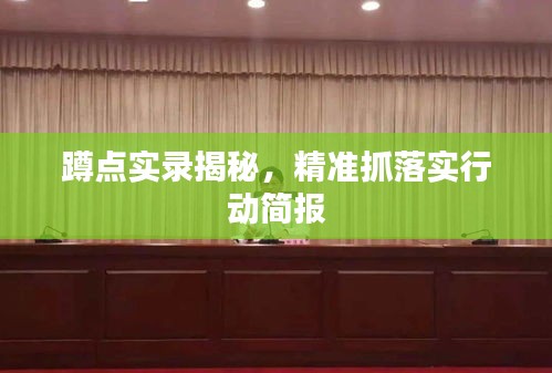 蹲点实录揭秘,精准抓落实行动简报