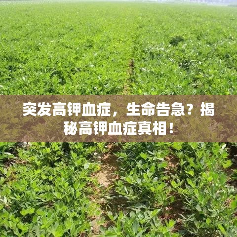 突发高钾血症,生命告急?揭秘高钾血症真相!