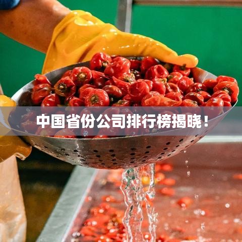 中国省份公司排行榜揭晓!