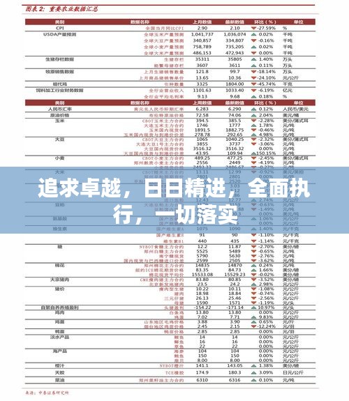 追求卓越,日日精进,全面执行,一切落实