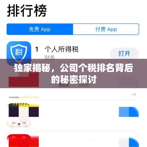 独家揭秘,公司个税排名背后的秘密探讨