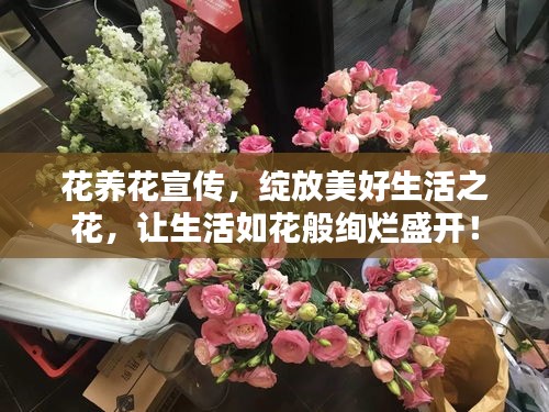 花养花宣传,绽放美好生活之花,让生活如花般绚烂盛开!