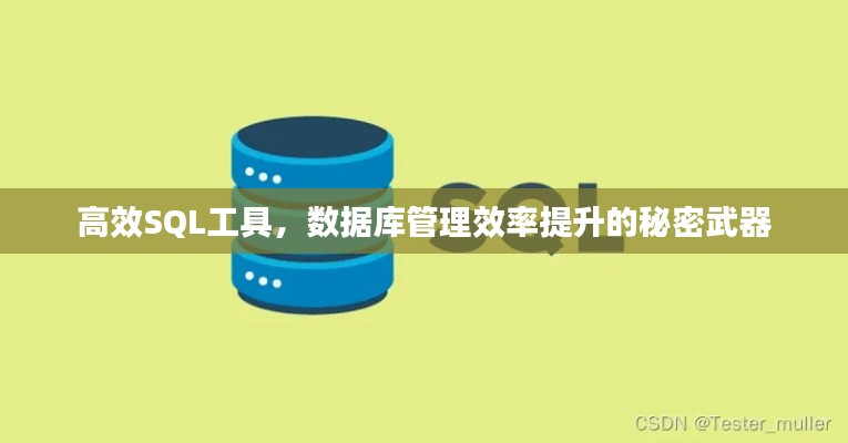 高效SQL工具,数据库管理效率提升的秘密武器
