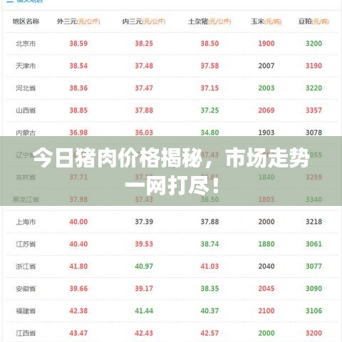 今日猪肉价格揭秘,市场走势一网打尽!