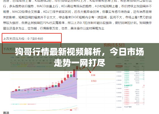 狗哥行情最新视频解析,今日市场走势一网打尽