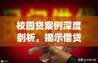 采椽不斫 第3页
