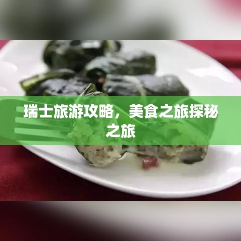 瑞士旅游攻略,美食之旅探秘之旅