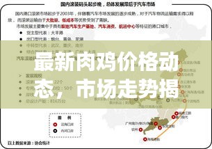 最新肉鸡价格动态,市场走势揭秘与影响因素深度剖析