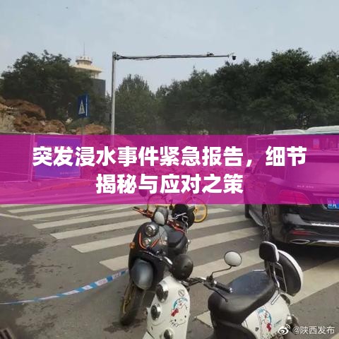 突发浸水事件紧急报告,细节揭秘与应对之策