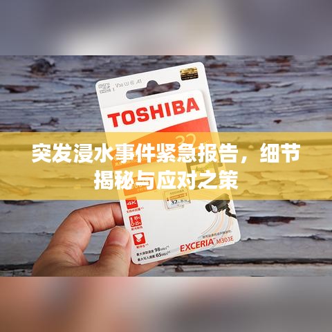 突发浸水事件紧急报告,细节揭秘与应对之策