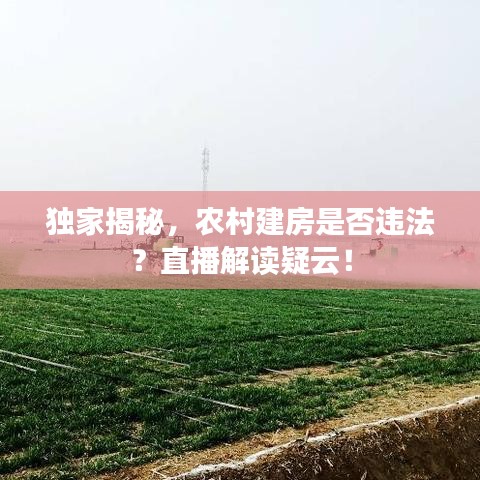 独家揭秘,农村建房是否违法?直播解读疑云!