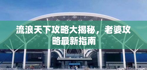 流浪天下攻略大揭秘,老婆攻略最新指南