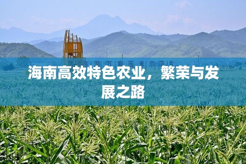 海南高效特色农业,繁荣与发展之路