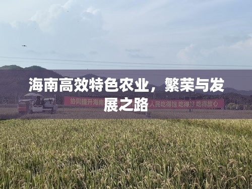 海南高效特色农业,繁荣与发展之路