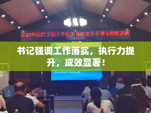 书记强调工作落实,执行力提升,成效显著!