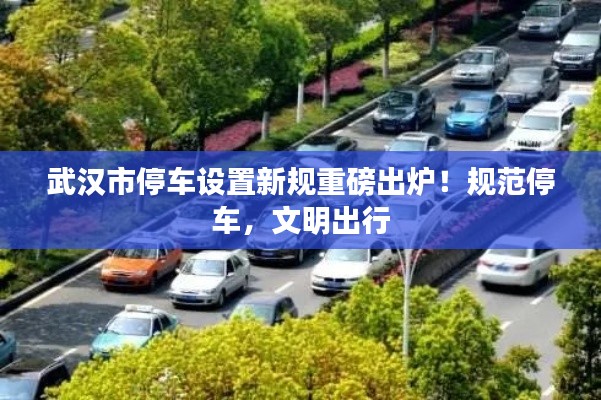 武汉市停车设置新规重磅出炉!规范停车,文明出行