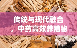 传统与现代融合,中药高效养殖秘籍揭秘