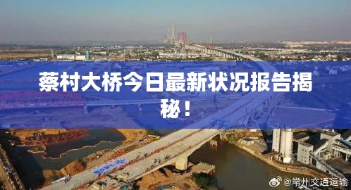 蔡村大桥今日最新状况报告揭秘!
