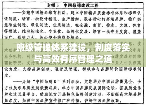 班级管理体系建设,制度落实与高效有序管理之道