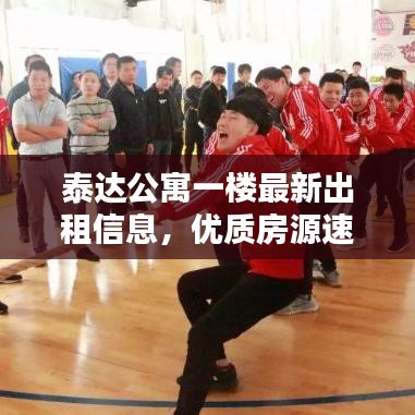 泰达公寓一楼最新出租信息,优质房源速览