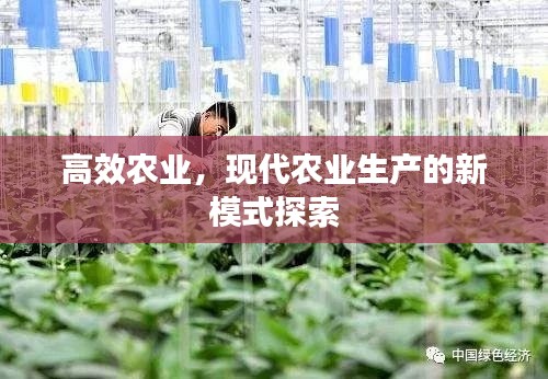 高效农业,现代农业生产的新模式探索