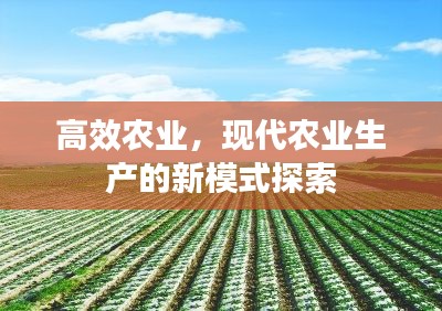 高效农业,现代农业生产的新模式探索