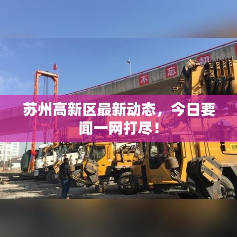 苏州高新区最新动态,今日要闻一网打尽!