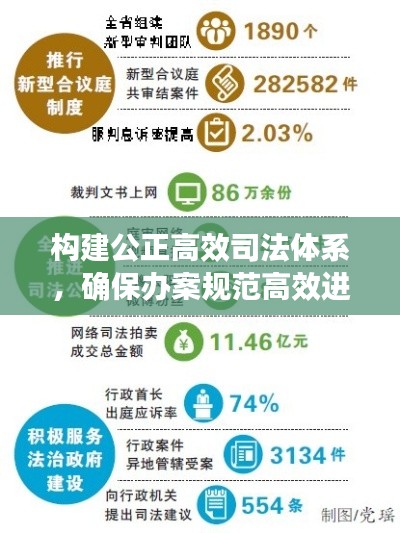 构建公正高效司法体系,确保办案规范高效进行