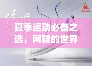 夏季运动必备之选,网鞋的世界,探索惊喜只需一键百度!