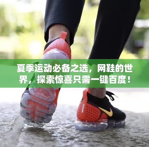 夏季运动必备之选,网鞋的世界,探索惊喜只需一键百度!