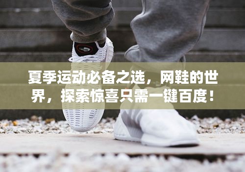 夏季运动必备之选,网鞋的世界,探索惊喜只需一键百度!