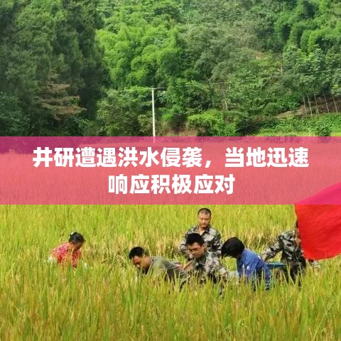 井研遭遇洪水侵袭,当地迅速响应积极应对