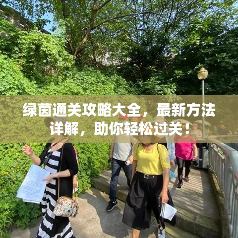 绿茵通关攻略大全,最新方法详解,助你轻松过关!