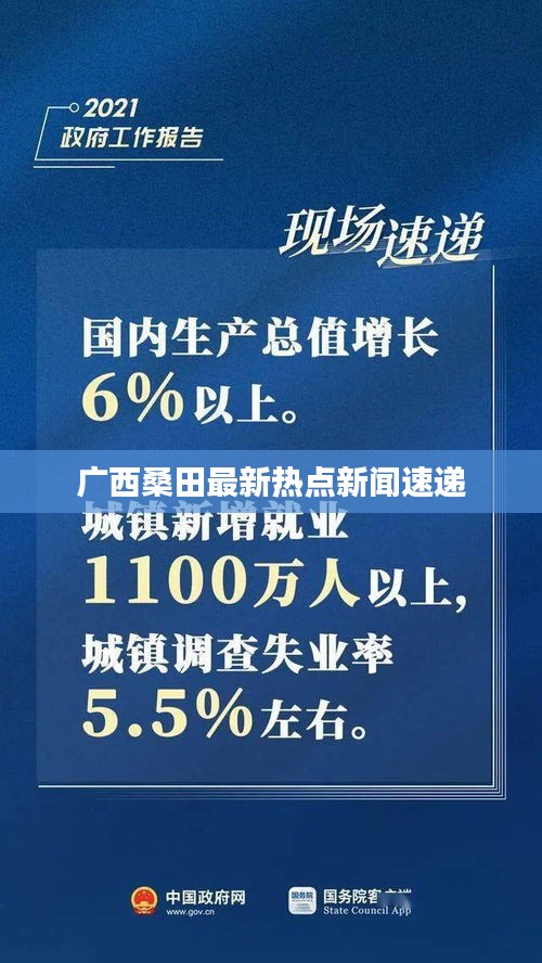 广西桑田最新热点新闻速递