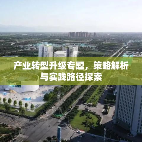 产业转型升级专题,策略解析与实践路径探索