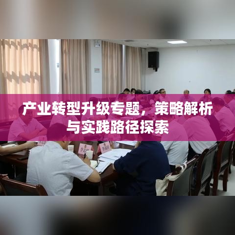 产业转型升级专题,策略解析与实践路径探索